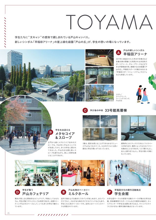 【合計35カ年分 書き込みなし】早稲田大 文学部 文化構想学部 赤本・青本セット 早稲田大学（文化構想学部） (2024年版大学入試シリーズ) | 教学
